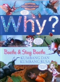 WHY?, Beetle & Stag Beetle - Kumbang dan Kumbang Rusa