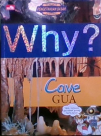 WHY?, Cave = Gua