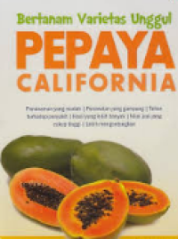 Bertanam Varietas Unggul Pepaya California