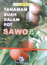 Tanaman Buah Dalam Pot: Sawo