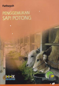 Penggemukan Sapi Potong