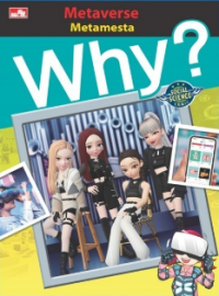 Why? Metaverse (Metamesta)